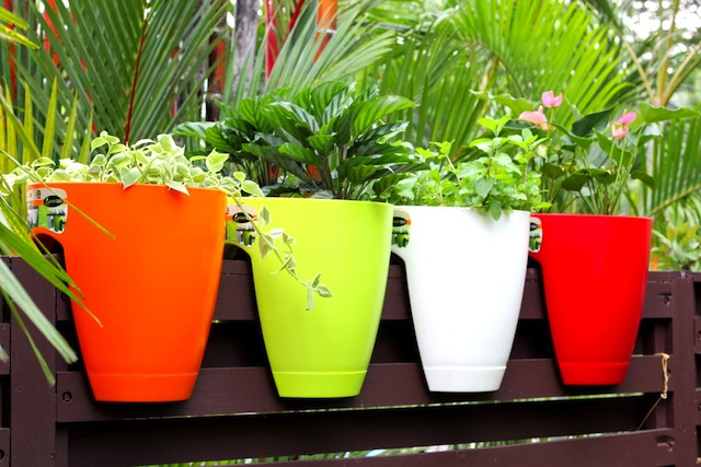 chậu trồng cây bằng nhựa đang được sử dụng phổ biến là chậu trồng cây Greenbo