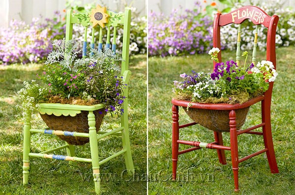 Chậu cảnh đẹp ngộ nghĩnh từ những chiếc ghế cũ cho khu vườn thêm màu sắc