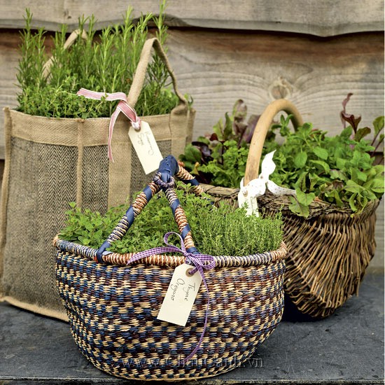 Chậu cảnh đẹp bằng giỏ hoặc túi bằng sợi đay sự lựa chọn hoàn hảo để trồng các loại rau thơm, xà lách.