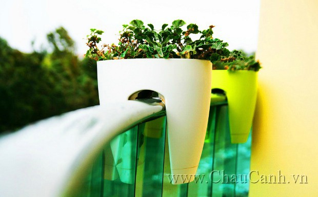 Nên chọn chậu greenbo để sử dụng lâu hơn các chậu nhựa cứng trồng cây